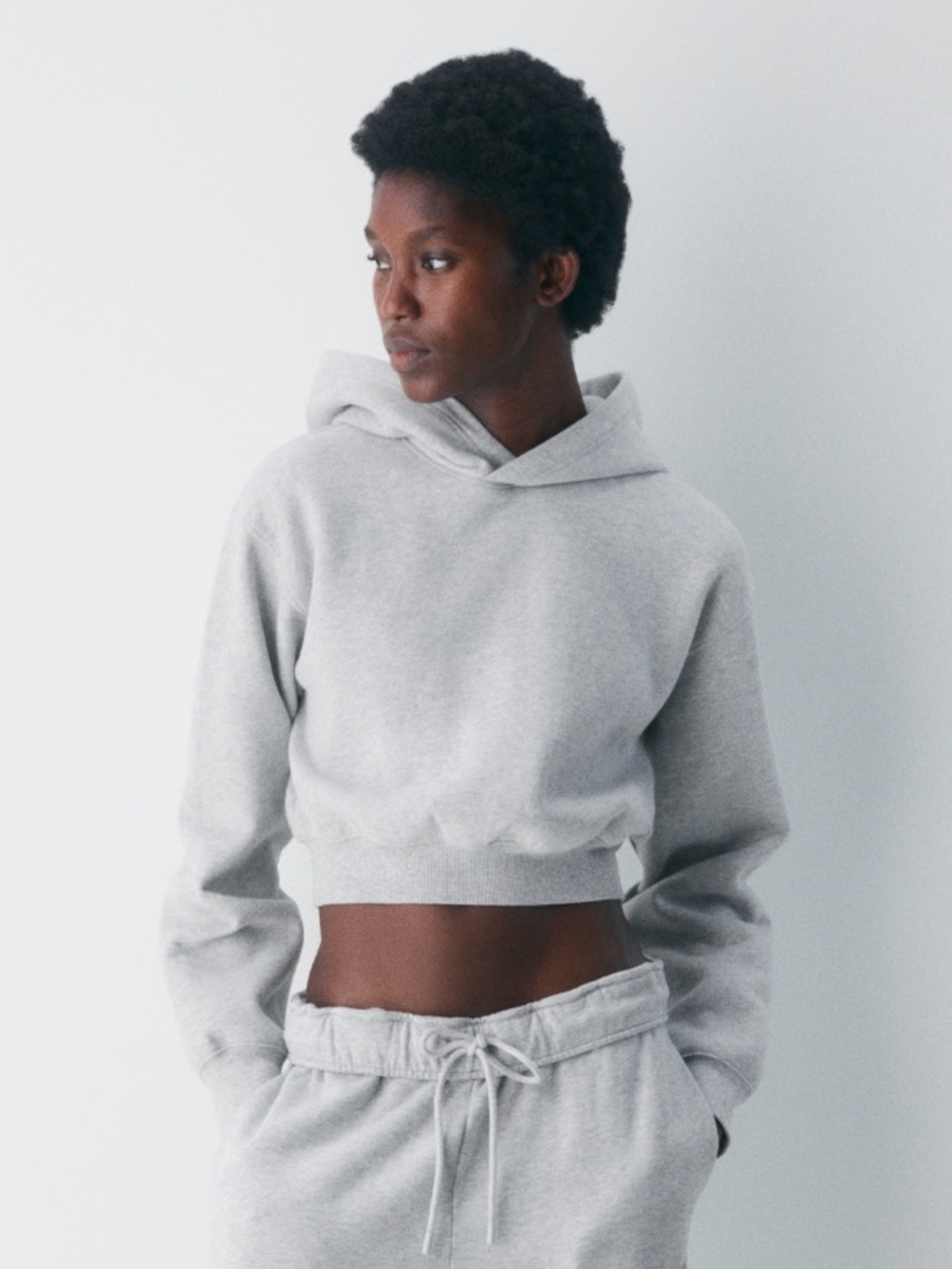 TNA ARITZIA Light Gray Pullover Hoodie